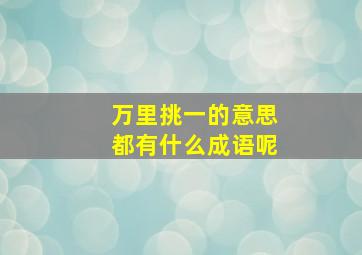 万里挑一的意思都有什么成语呢