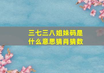 三七三八姐妹码是什么意思猜肖猜数