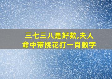 三七三八是好数,夫人命中带桃花打一肖数字