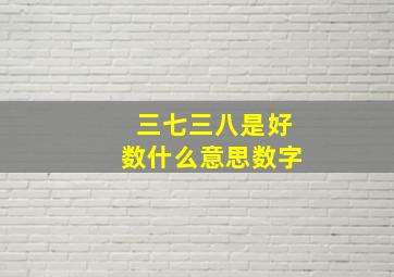 三七三八是好数什么意思数字