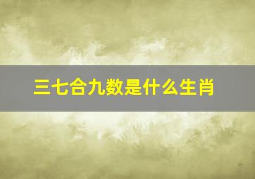 三七合九数是什么生肖