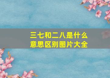 三七和二八是什么意思区别图片大全