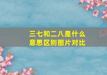 三七和二八是什么意思区别图片对比