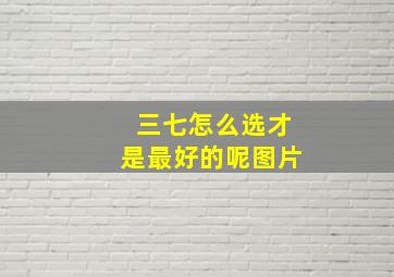 三七怎么选才是最好的呢图片