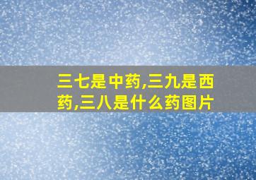 三七是中药,三九是西药,三八是什么药图片