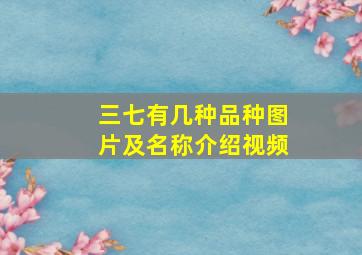 三七有几种品种图片及名称介绍视频