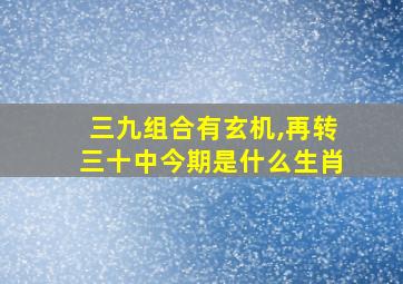 三九组合有玄机,再转三十中今期是什么生肖