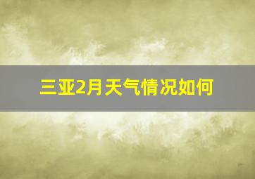 三亚2月天气情况如何