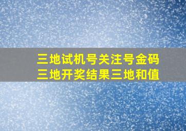 三地试机号关注号金码三地开奖结果三地和值