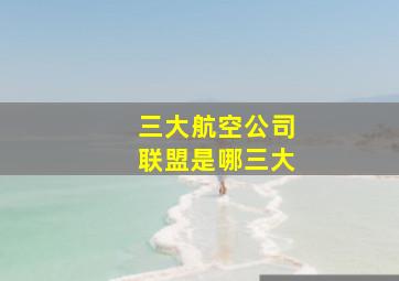 三大航空公司联盟是哪三大