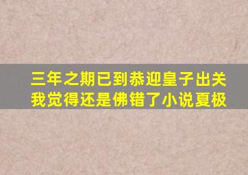 三年之期已到恭迎皇子出关我觉得还是佛错了小说夏极