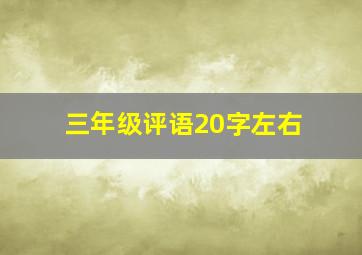 三年级评语20字左右