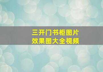 三开门书柜图片效果图大全视频