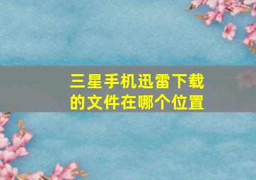 三星手机迅雷下载的文件在哪个位置