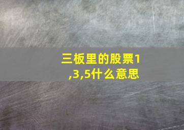 三板里的股票1,3,5什么意思