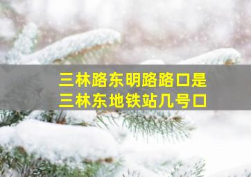 三林路东明路路口是三林东地铁站几号口