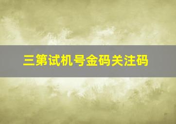 三第试机号金码关注码