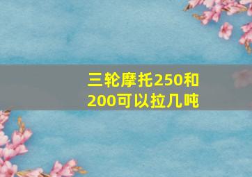 三轮摩托250和200可以拉几吨