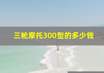 三轮摩托300型的多少钱