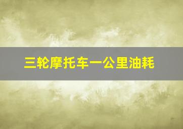 三轮摩托车一公里油耗