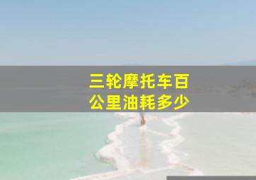 三轮摩托车百公里油耗多少