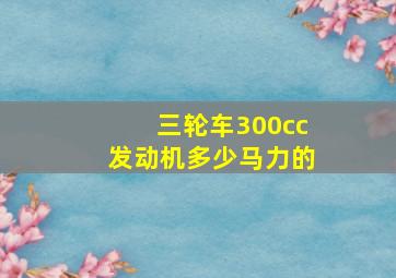 三轮车300cc发动机多少马力的