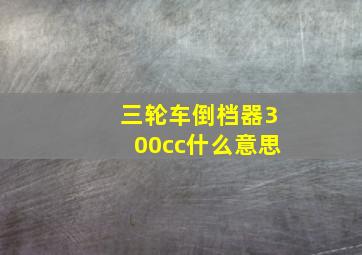 三轮车倒档器300cc什么意思