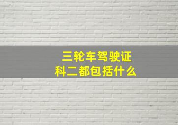 三轮车驾驶证科二都包括什么