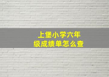 上堡小学六年级成绩单怎么查