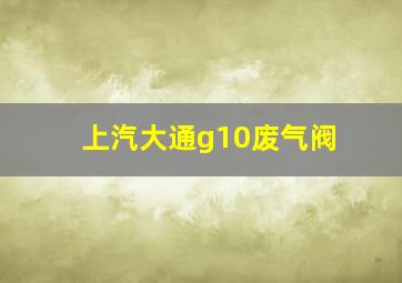 上汽大通g10废气阀