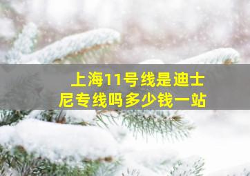 上海11号线是迪士尼专线吗多少钱一站