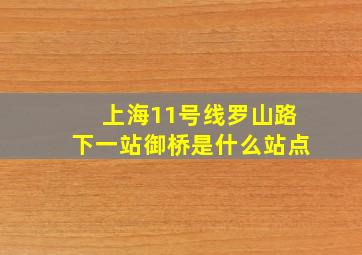 上海11号线罗山路下一站御桥是什么站点