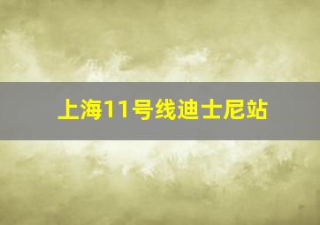 上海11号线迪士尼站