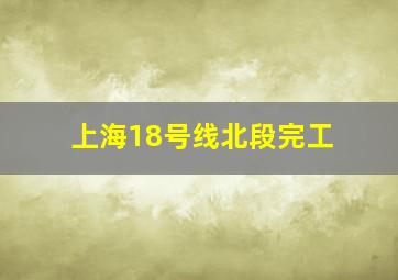 上海18号线北段完工