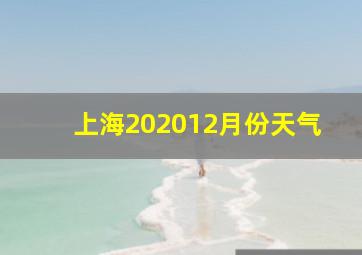 上海202012月份天气