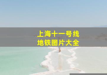 上海十一号线地铁图片大全