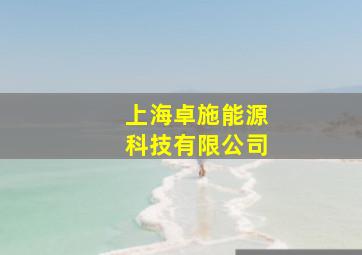 上海卓施能源科技有限公司