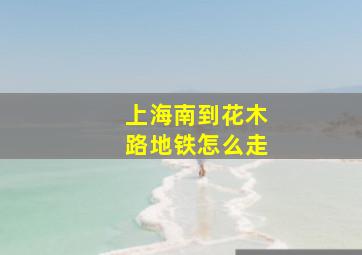 上海南到花木路地铁怎么走