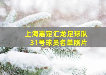 上海嘉定汇龙足球队31号球员名单照片