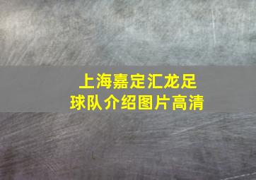 上海嘉定汇龙足球队介绍图片高清