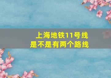 上海地铁11号线是不是有两个路线