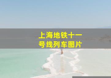 上海地铁十一号线列车图片