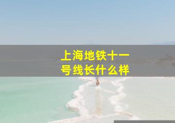 上海地铁十一号线长什么样