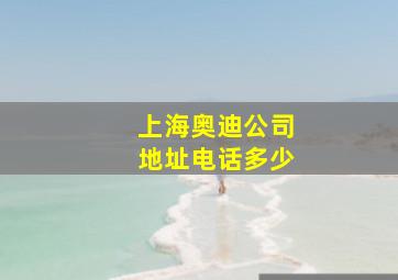 上海奥迪公司地址电话多少