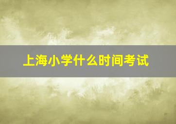 上海小学什么时间考试