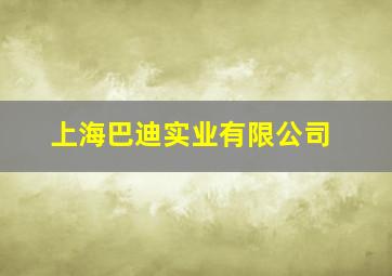 上海巴迪实业有限公司