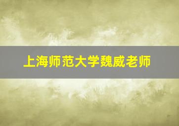 上海师范大学魏威老师