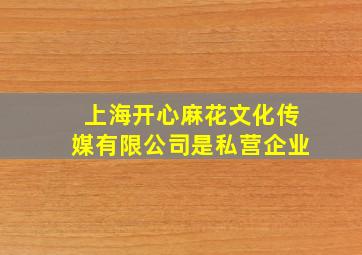 上海开心麻花文化传媒有限公司是私营企业