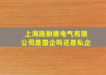 上海施耐德电气有限公司是国企吗还是私企