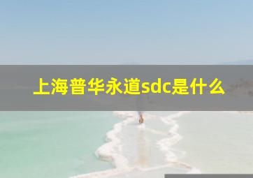 上海普华永道sdc是什么